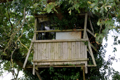 Dilapidated-tree-house