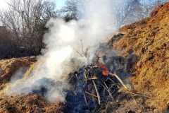 Burning-waste-on-a-farm-yard