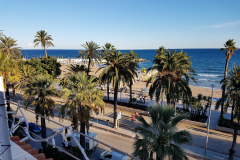 Palm trees on promenade Sitges Spain