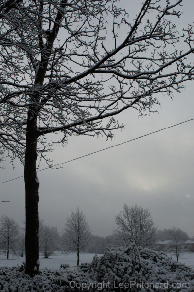 Snowy scene on Kingsway Park