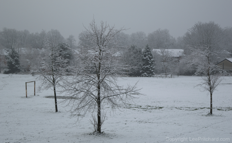 Snowy scene on Kingsway Park