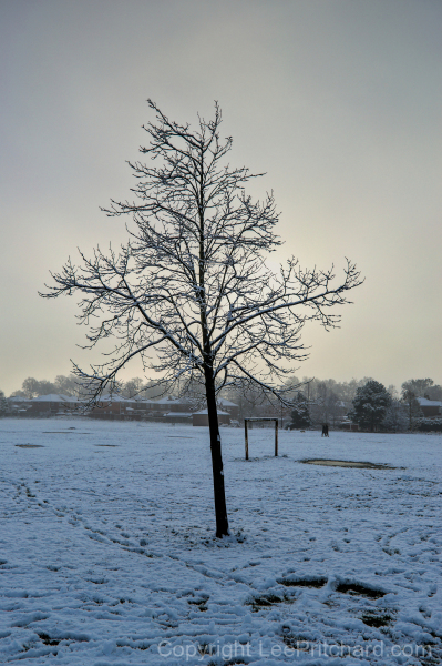 Snowy scene on Kingsway Park