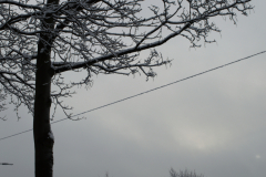 Snowy scene on Kingsway Park