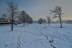 Snowy scene on Kingsway Park