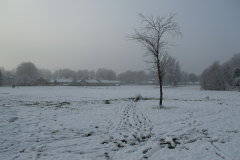 Snowy scene on Kingsway Park