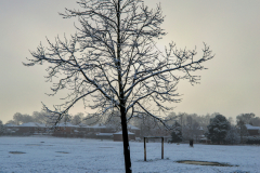 Snowy scene on Kingsway Park