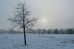 Snowy scene on Kingsway Park