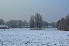Snowy scene on Kingsway Park