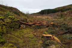 20201209_142208-Coed-Llyn-y-Garnedd-LeePritchard-scaled