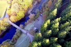 Aerial view of a frosty forest.